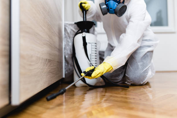 Best Cockroach Control Services  in Parks, AZ