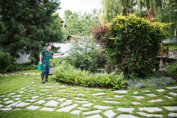 Trusted Parks, AZ Pest Control Experts