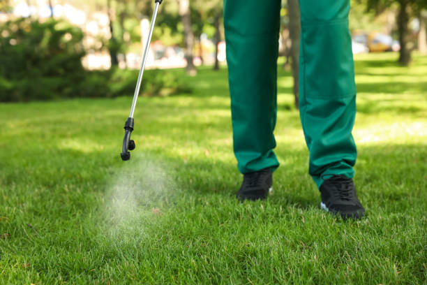 Best Affordable Pest Control Services  in Parks, AZ